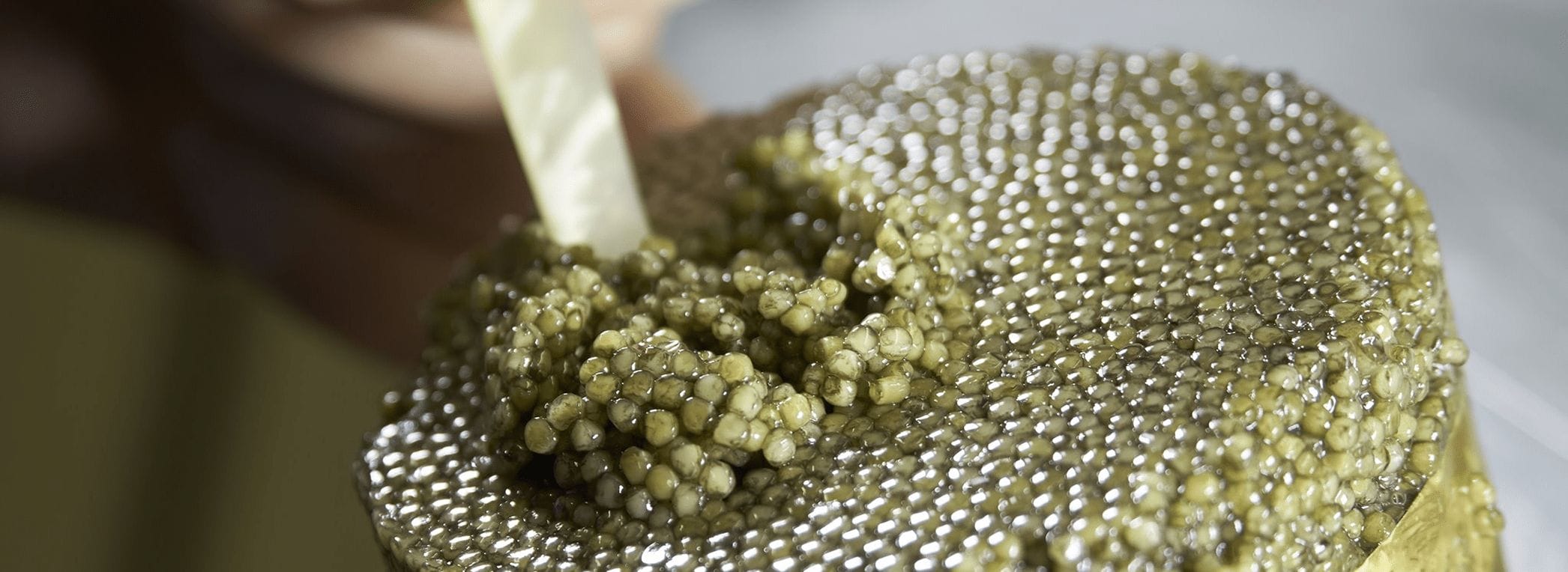 Caviar